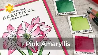 Amaryllis in Albrecht Dürer watercolor pencil