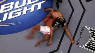 Glover Teixeira Highlights