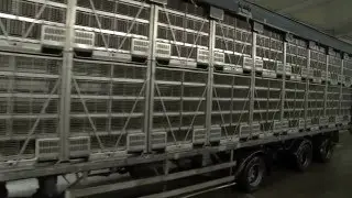 Meyn® Container system