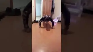 спортсмен от бога