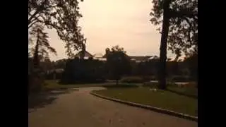 Marine Homecoming