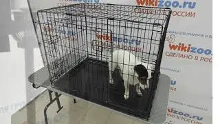 Стол для груминга wikiGROOM складной с колесами 120 х 60 х 80 см