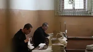 Чем отличается петух и опущенный