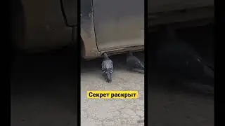 Мне кажется я понял что с моими порогами 🤔#shorts