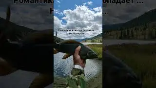 Не всё можно купить