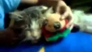 La Critica de Pancho