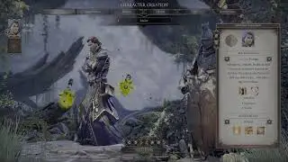 Divinity: Original Sin 2