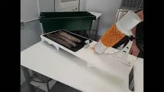 Упаковка рыбы.  https://vk.link/technothp/product/8542796