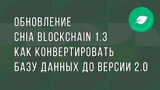 Обновление Chia Network 1.3 - Как конвертировать базу данных блокчейна Chia до версии 2.0