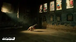 Delaire The Liar - angel number. (Official Music Video)