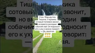 Жена лает по телефону 🤣🤣🤣
