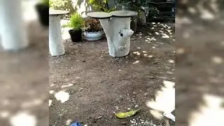 Pangkuan pot bunga..