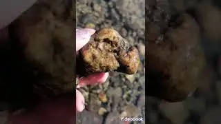 11.08.2024,НА ЕНЕСЕЕ.ЗА ПОС. МАЙНА В ЗОНЕ ОТДЫХА... ОПЯТЬ КАМУШКИ...