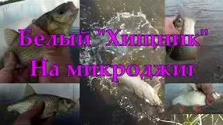 Белый "Хищник" на микроджиг.