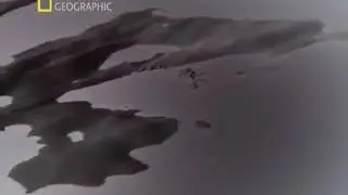 Документальный фильм начало времён