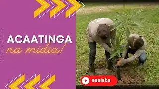 Associação Caatinga no Nordeste Rural
