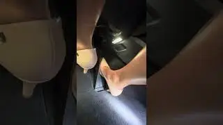 Pedal pumping Brasil! Porsche 718 #cargirl