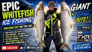 HOW TO CATCH A LAKE SIMCOE WHITEFISH