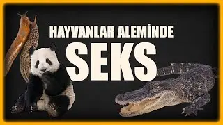 En Garip Üreme Yöntemleri! Biyolojik Çeşitlilik