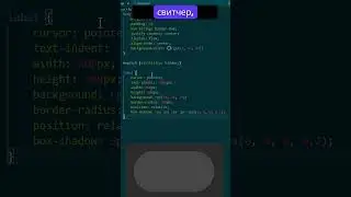 Switcher с анимацией на html и css за 20 секунд. 
