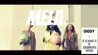 Diggy - It is what it is (DemDrums remix) | MELA Music