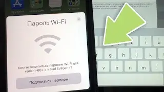 Как узнать пароль своего  Wi-Fi на iPhone и iPad