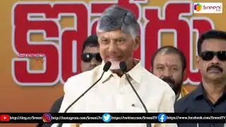 వారి తాట తీసి ఎక్కడ పెట్టాలో నాకు తెలుసు | AP CM ChandraBabu Sensational Comments | SreeniMedia