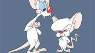 The Pinky and the Brain Television Theme
