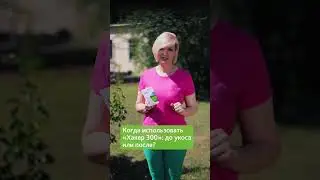 3 вопроса про обработку газона от сорняков