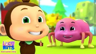 Incy Wincy Örümcek Tekerlemeler + Daha Loco Nuts Bebek Şarkıları Türkçe