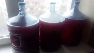 Такой сахарной браги вы не видели! Нужно ли осветлять брагу? Почему именно три бутыли!