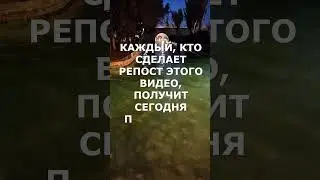 #подаркиотвселенной, #волнадобра, #волшебнаяигра, #веселаямагия