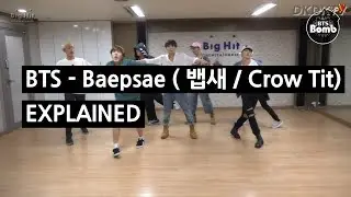 BTS - BAEPSAE (뱁새 / Crow Tit) Explained by a Korean