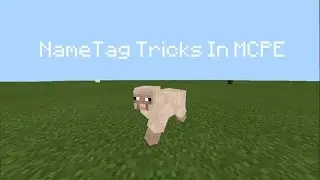 ✔Minecraft Pe Tutorial | How To Make A Rainbow Sheep In MCPE Easy