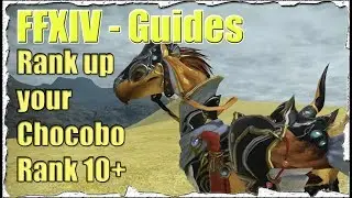FFXIV How to Rank Up Chocobo 10+ (thavnairian onion) Guide