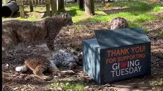 Thank you for making this Giving Tuesday a success!!