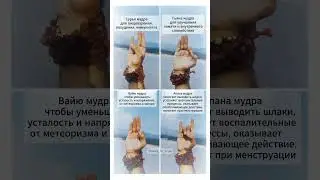 Сила целительных мудр. 