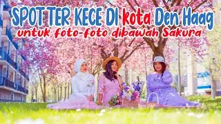 SPOT KECE UNTUK FOTO BUNGA SAKURA DI DEN HAAG CUKUP DI SEBELAH RUMAH