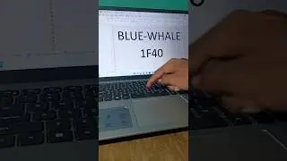 how to insert blue whale 🐋 symbol shortcut key in word 