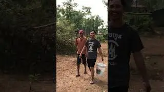 ដើចាក់អង្រង
