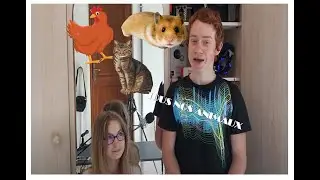 LES ANIMAUX DE NOTRE MAISON (c'est presque une ferme !!) ft. ma soeur