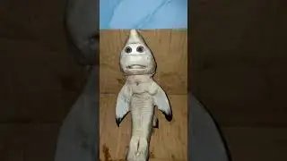 Ikan Hiu Berbentuk Manusia
