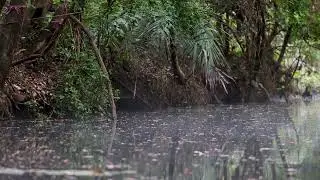 Platypus Survey 2023