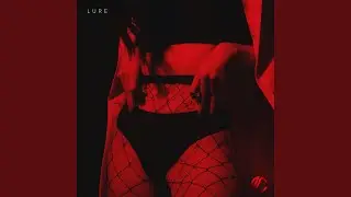 Lure