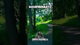 О трейдинге и трейдерах #crypto #bitcoin #трейдинг