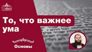То, что важнее ума | Основы