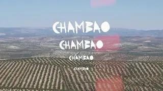 Chambao verano 2023 (2)