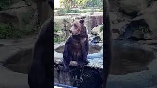зачесалось 