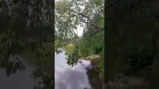 Храм и крепость в старом городе // Петербург