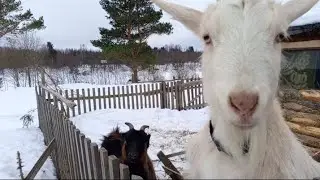 КОРОТАЕМ ВРЕМЯ ДО ВЕСНЫ